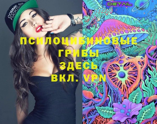 трава Кинешма
