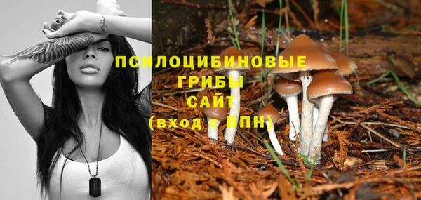 MDMA Premium VHQ Козловка